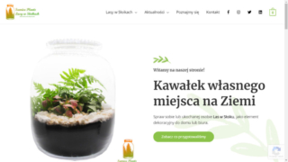 Projektowanie i tworzenie stron internetowych - portfolio - realizacja SunrisePlants.pl (efekt) Projektowanie i tworzenie stron internetowych - portfolio - realizacja SunrisePlants.pl (efekt)